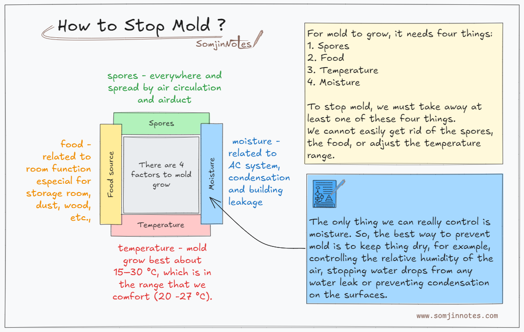 How to stop mold ?